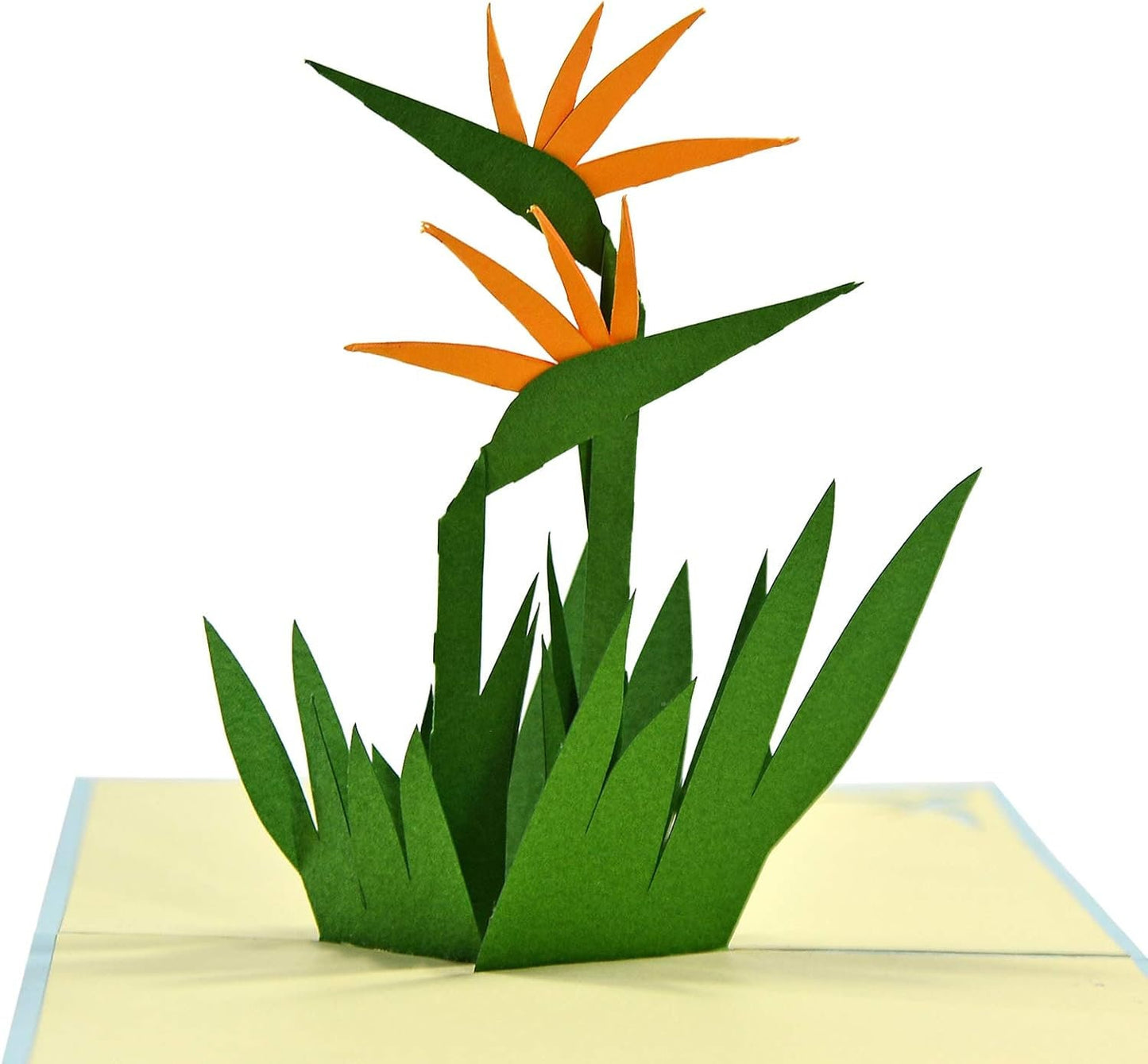 Bird of Paradise Flower 3D Pop Up Card - Spring Collection