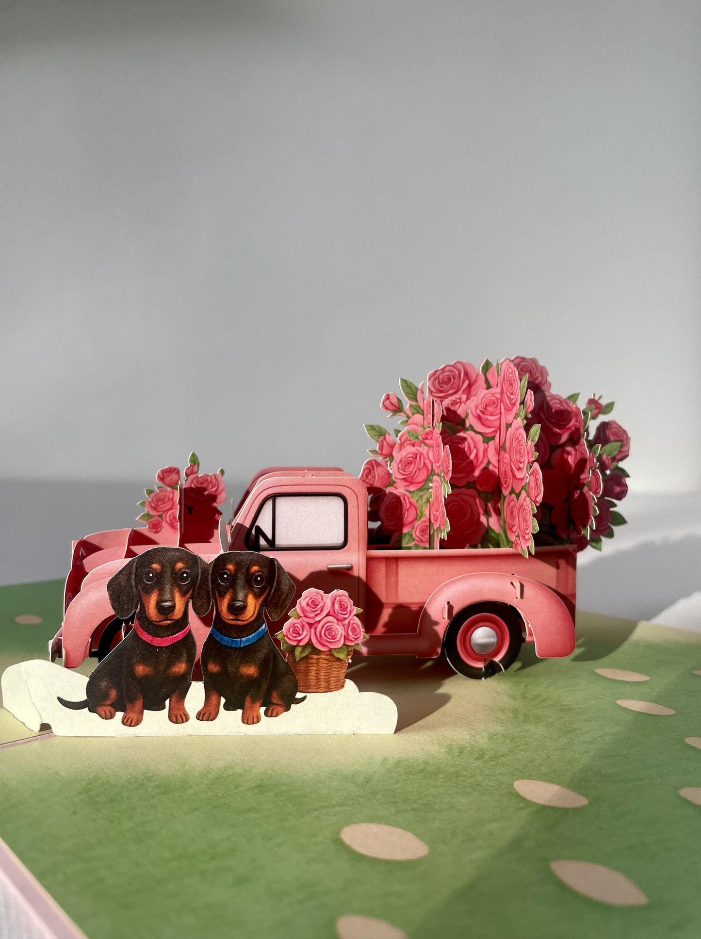 Dachshund Couple Love 3D Pop Up Card