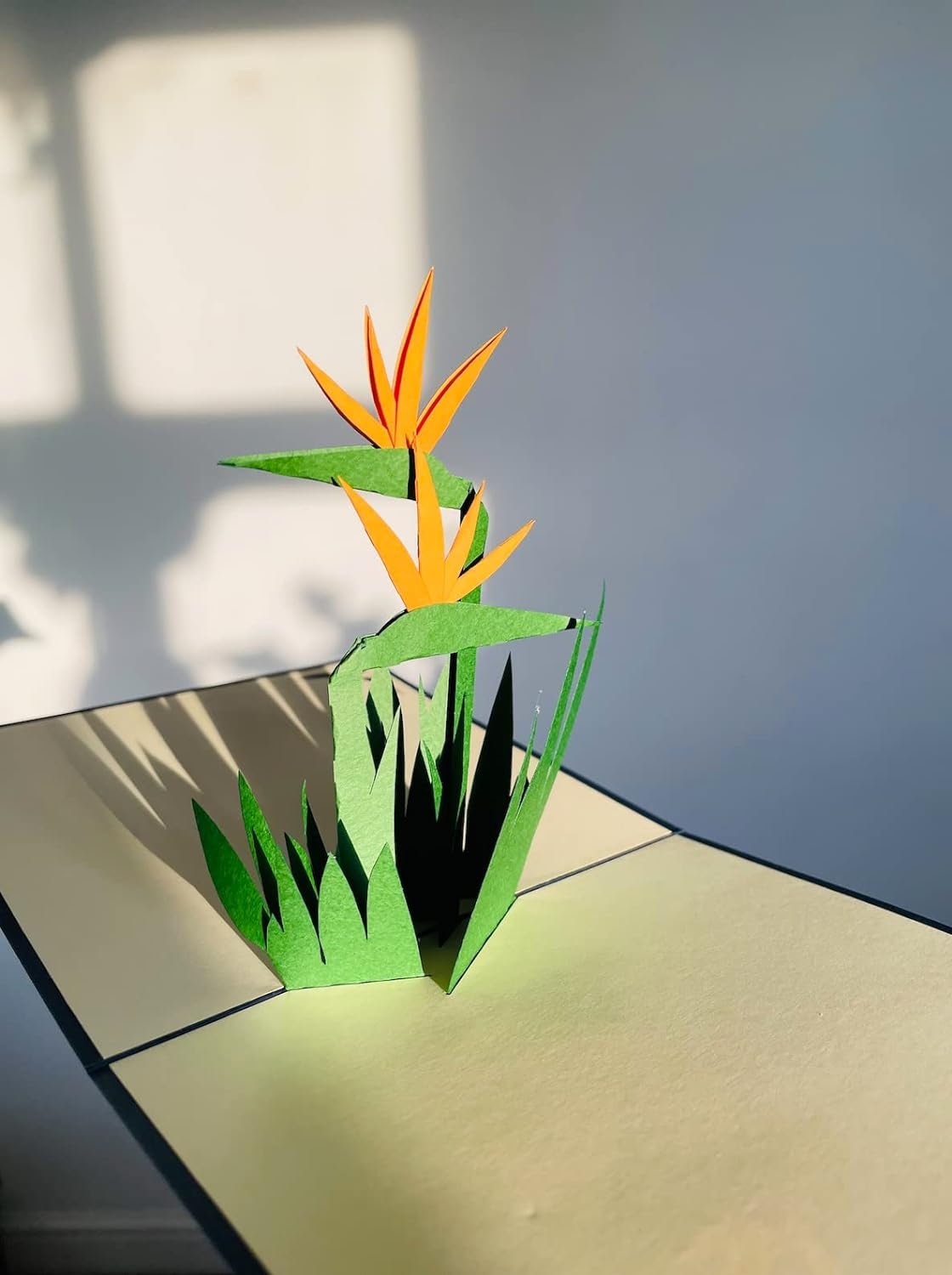 Bird of Paradise Flower 3D Pop Up Card - Spring Collection
